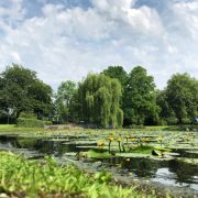 Het Volkspark