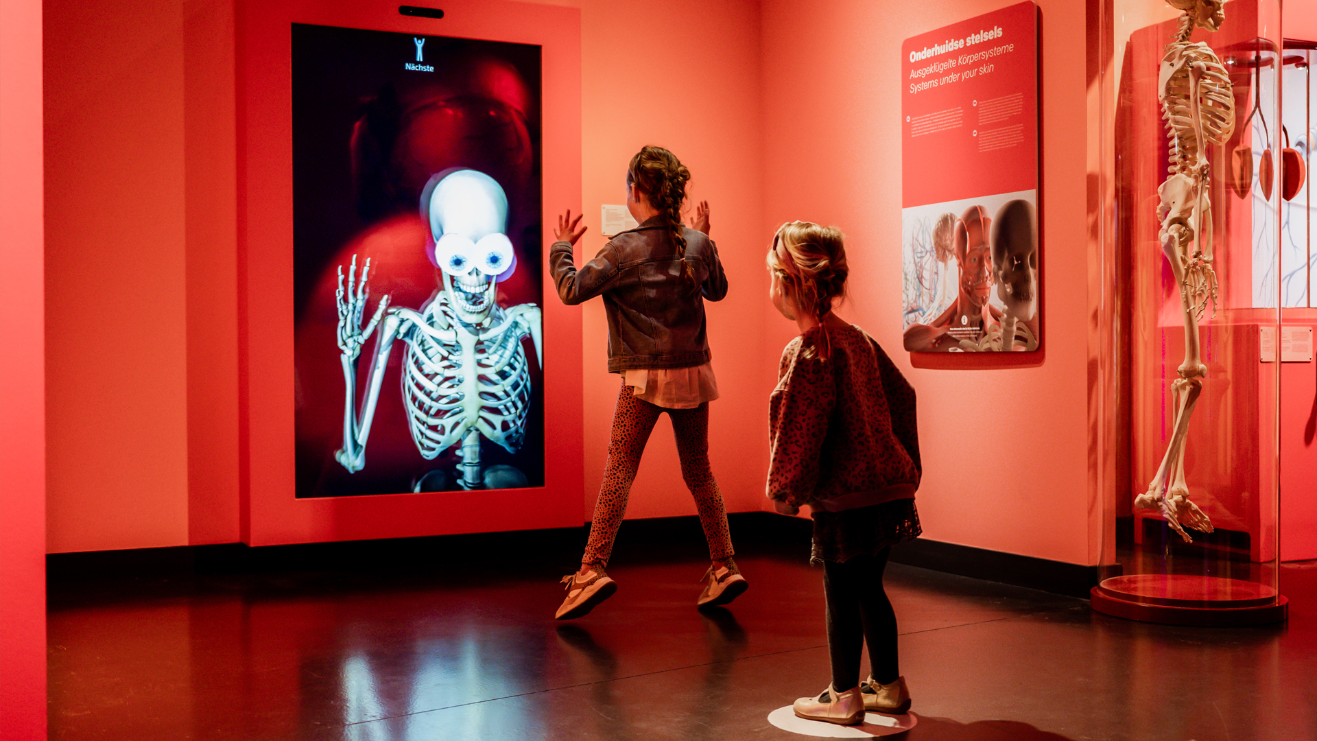 Discovery Museum