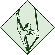 Aerials Gym