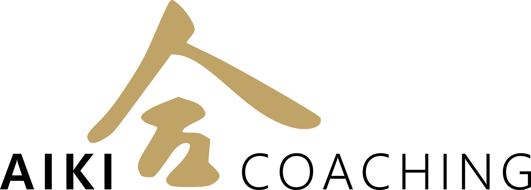 Aiki Coaching & Training Rotterdam