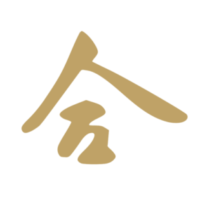 Aiki Coaching & Training Rotterdam