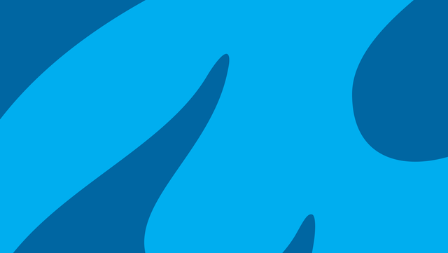 Delft University of Technology (TU Delft)