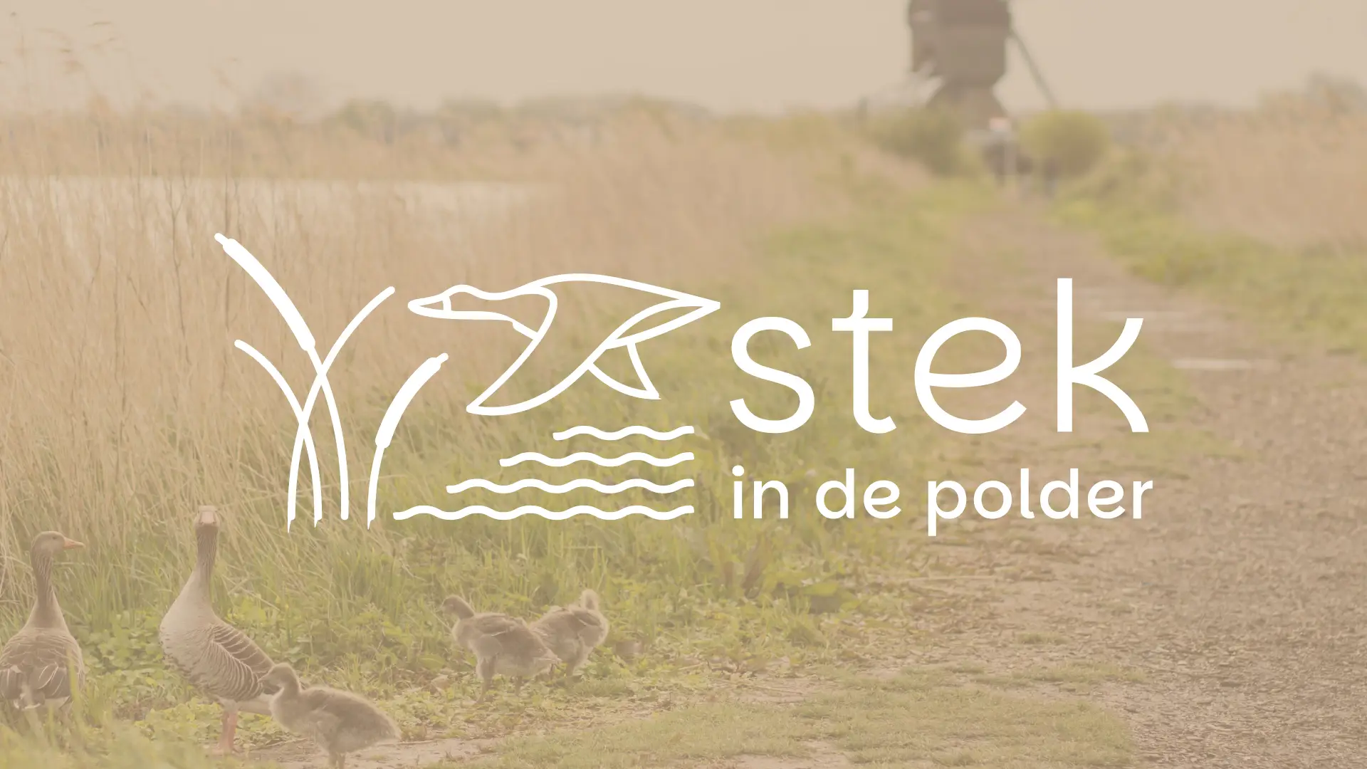 Stek in de polder