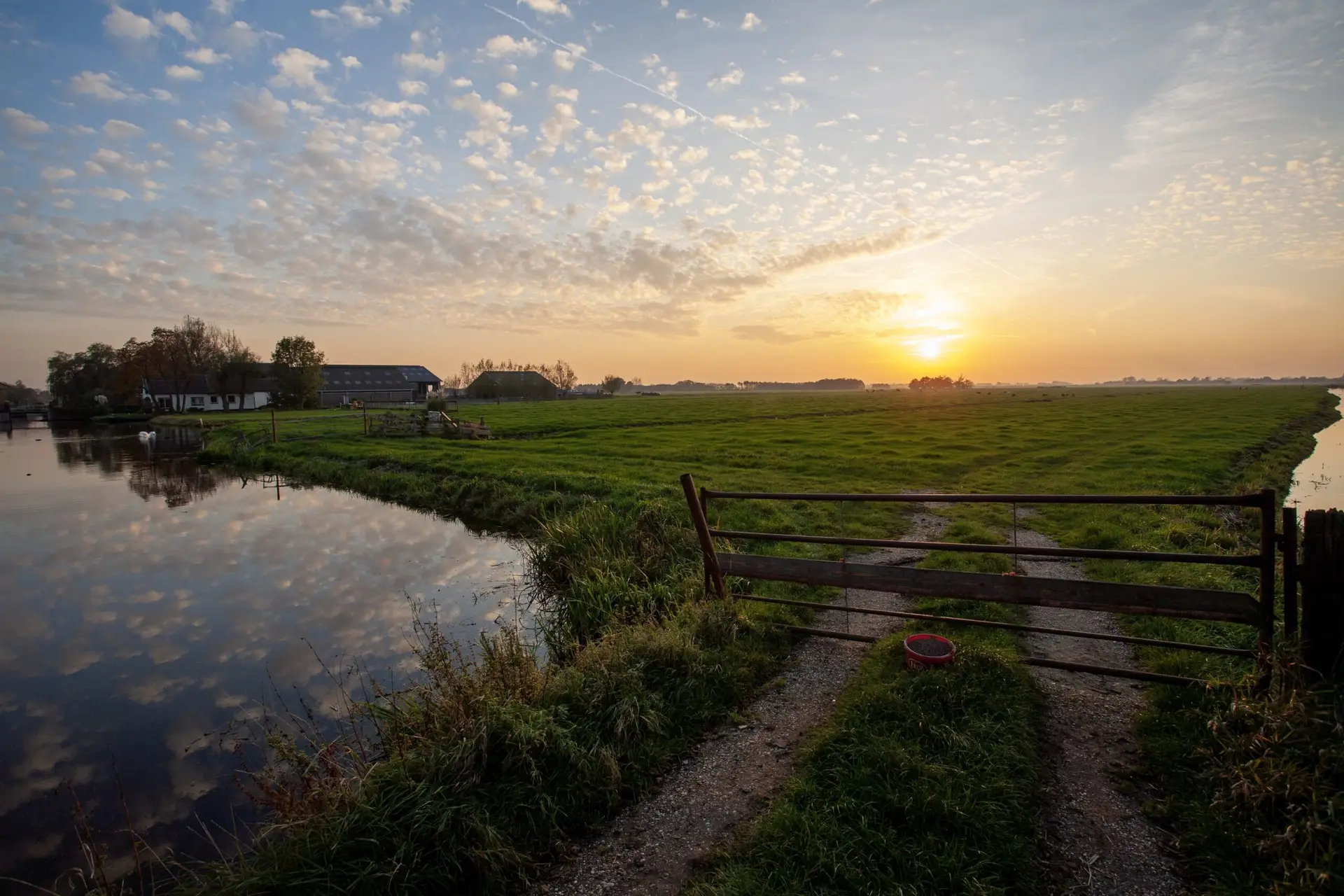 Stek in de polder