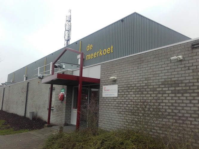 De Meerkoet