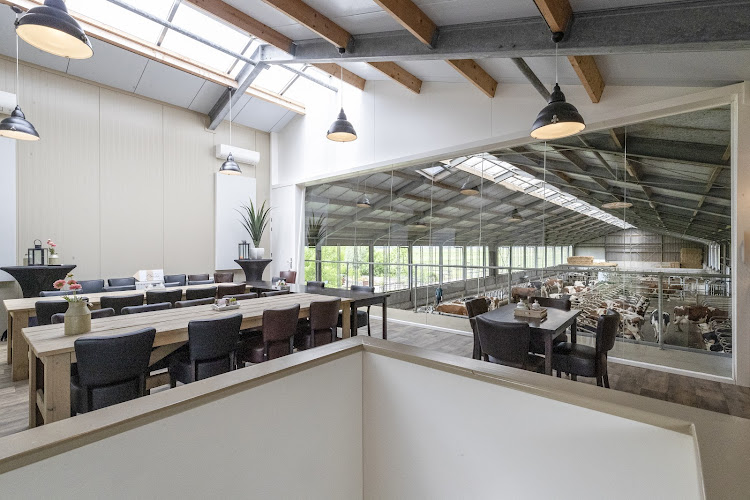 De Witte Gravin