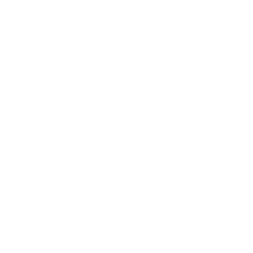 N201 Aalsmeer