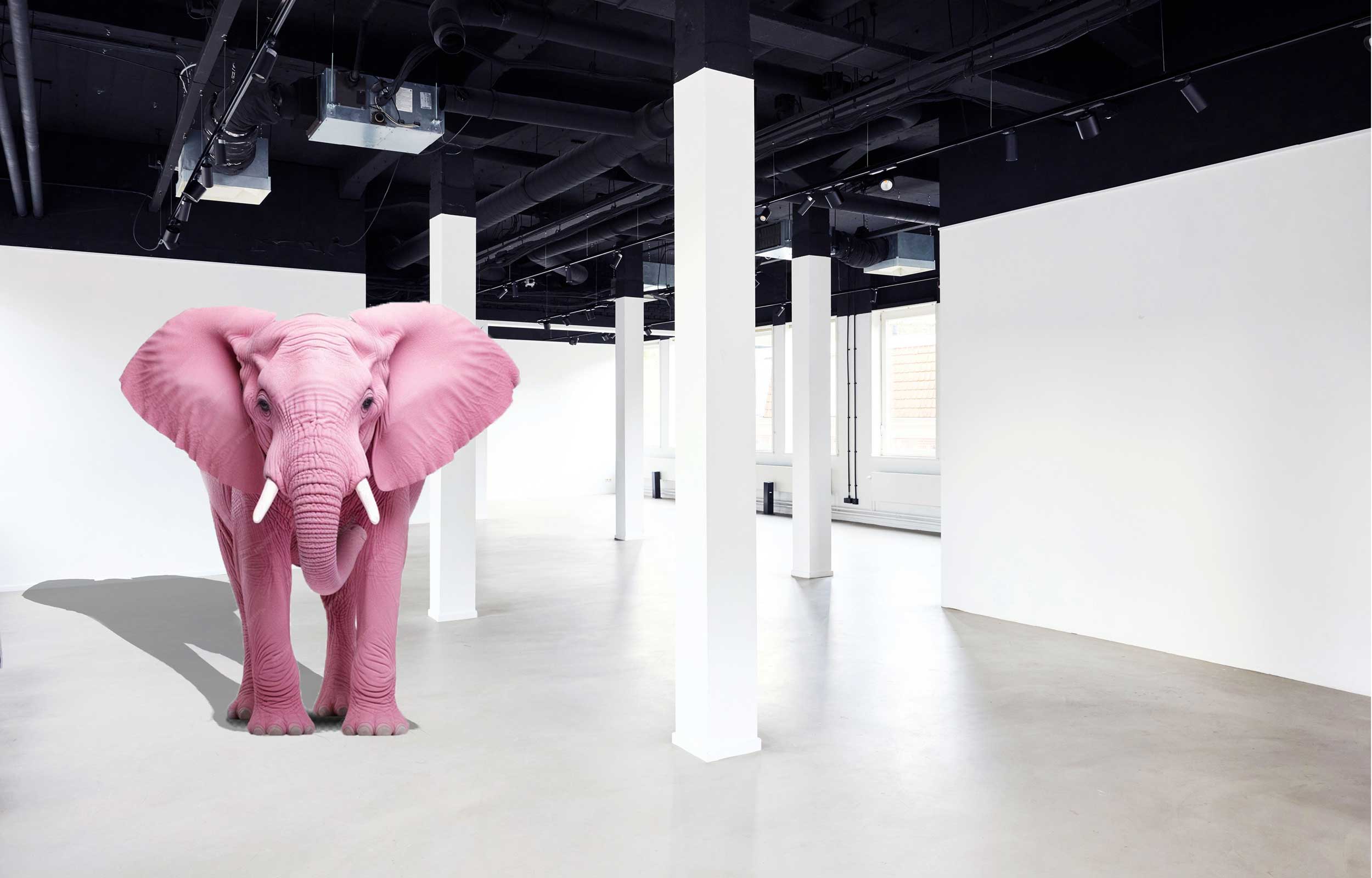 So Studio Amsterdam