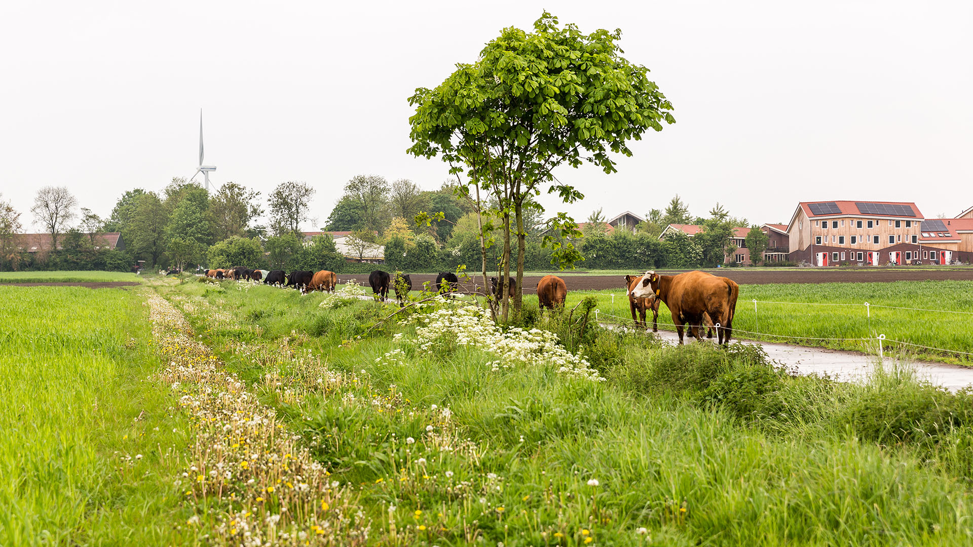 Warmonderhof Stichting