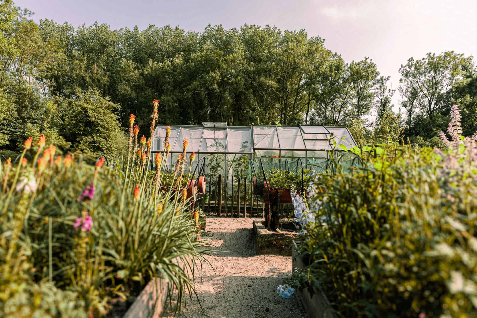 House Oudegein