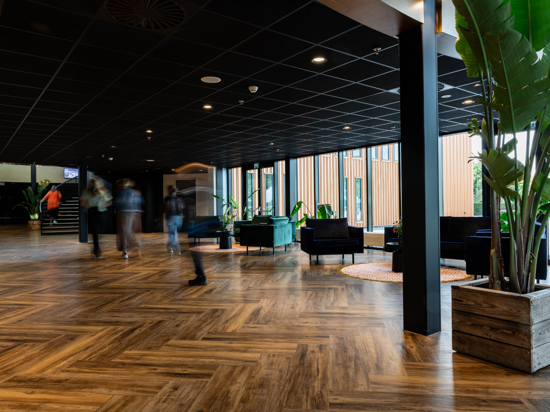Expo Houten