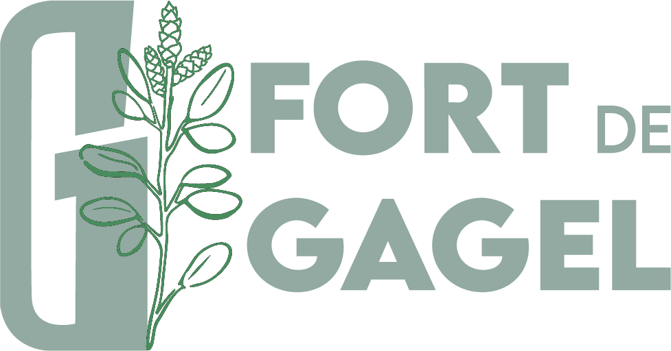 Fort de Gagel