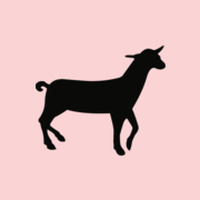 Café Het Gegeven Paard
