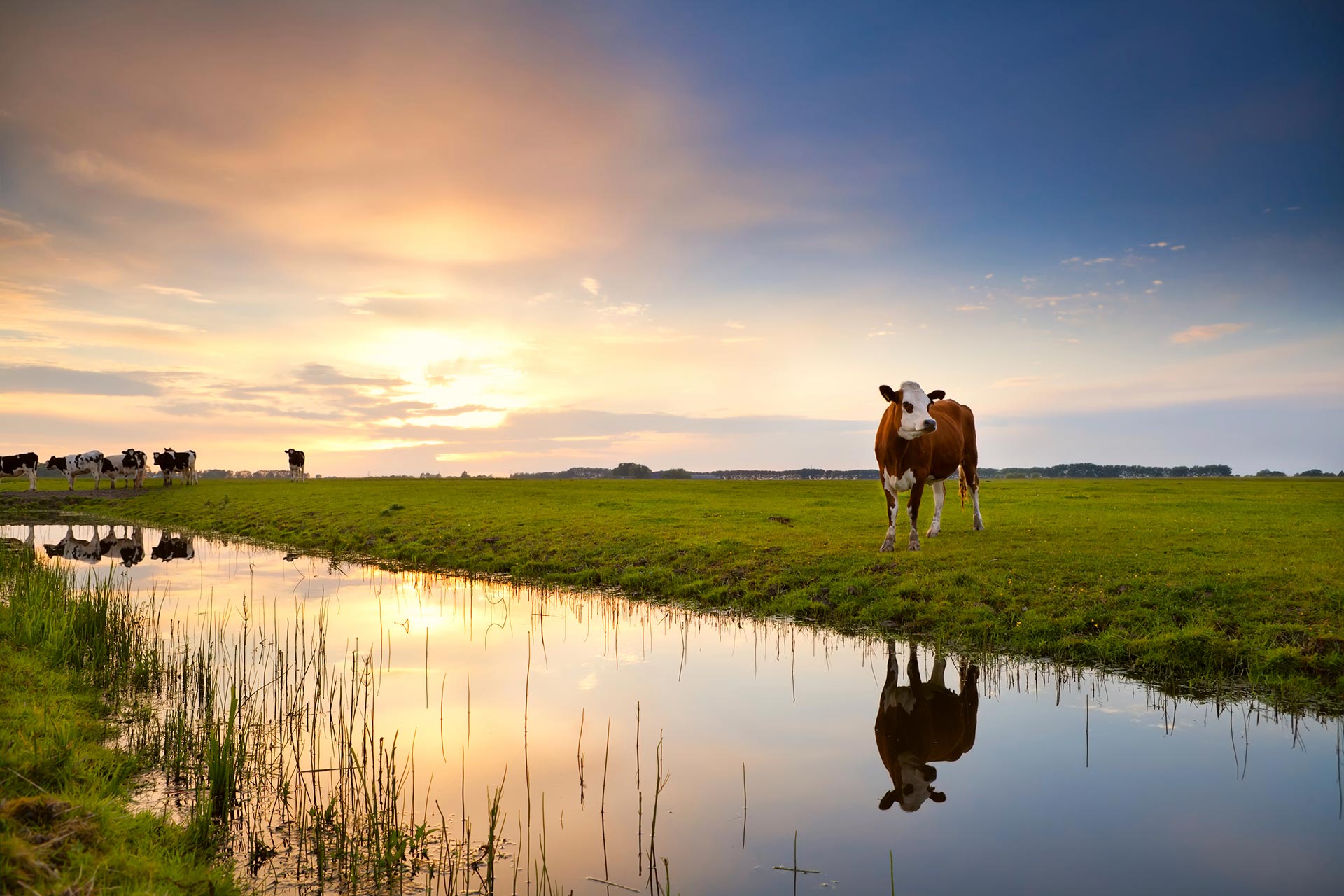 Boerderij de Boerinn