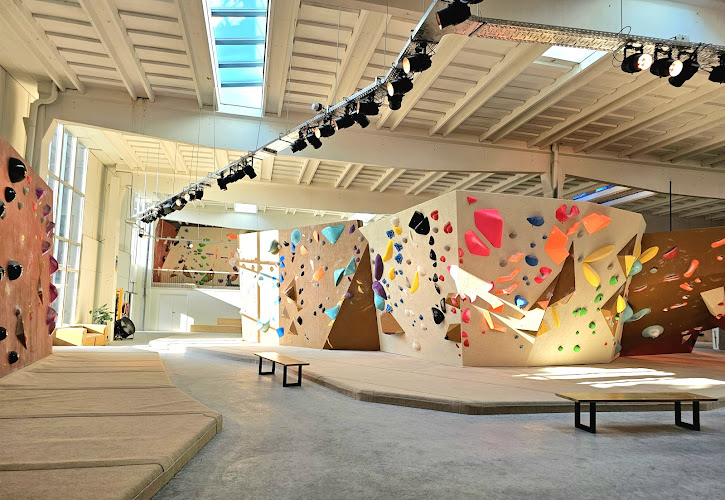 Beest Boulders Breda 🧗