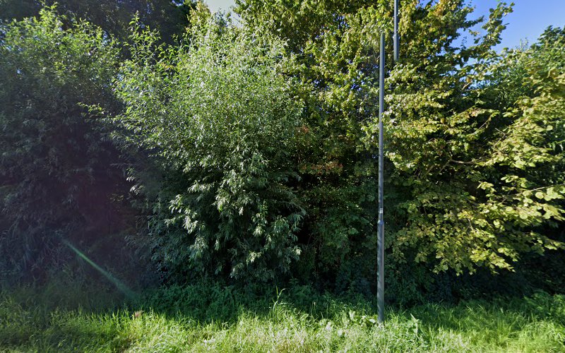 Indoor Breda