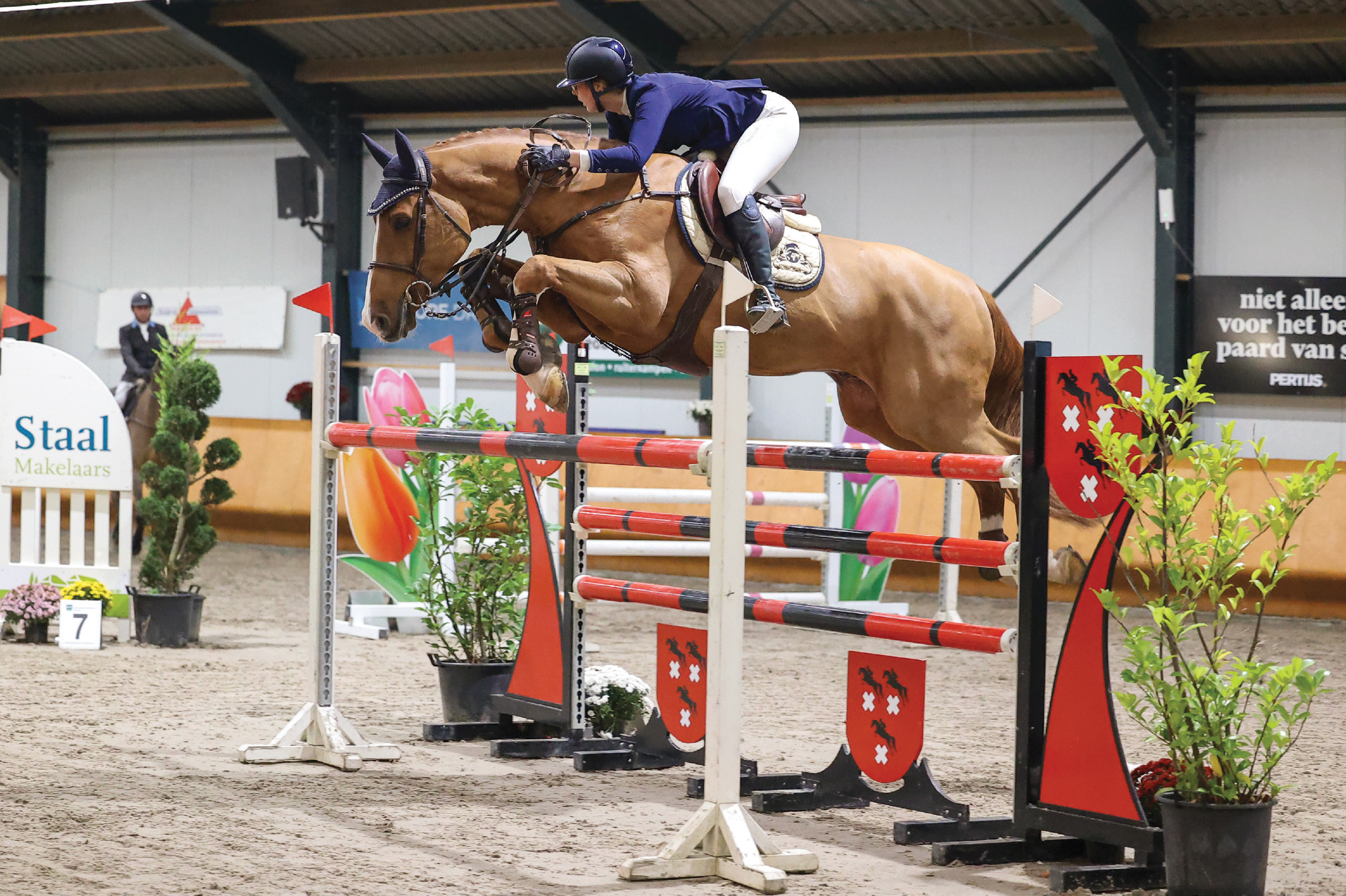 Indoor Breda