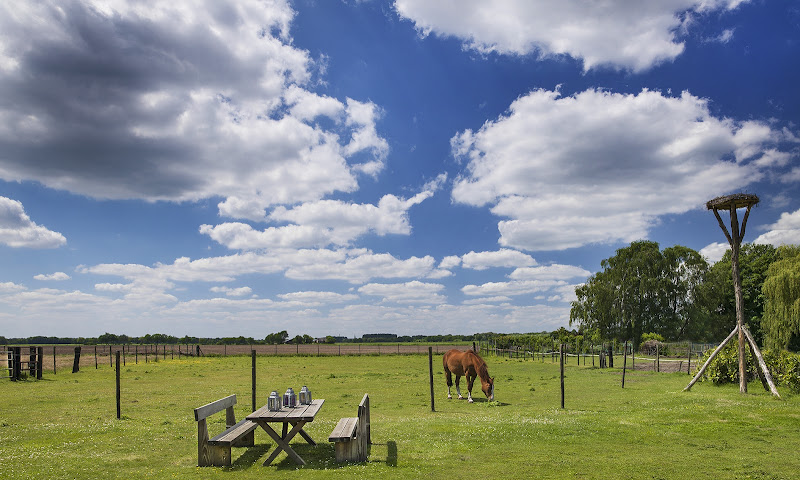 Chalet Hilvarenbeek (heidag- and meeting location)