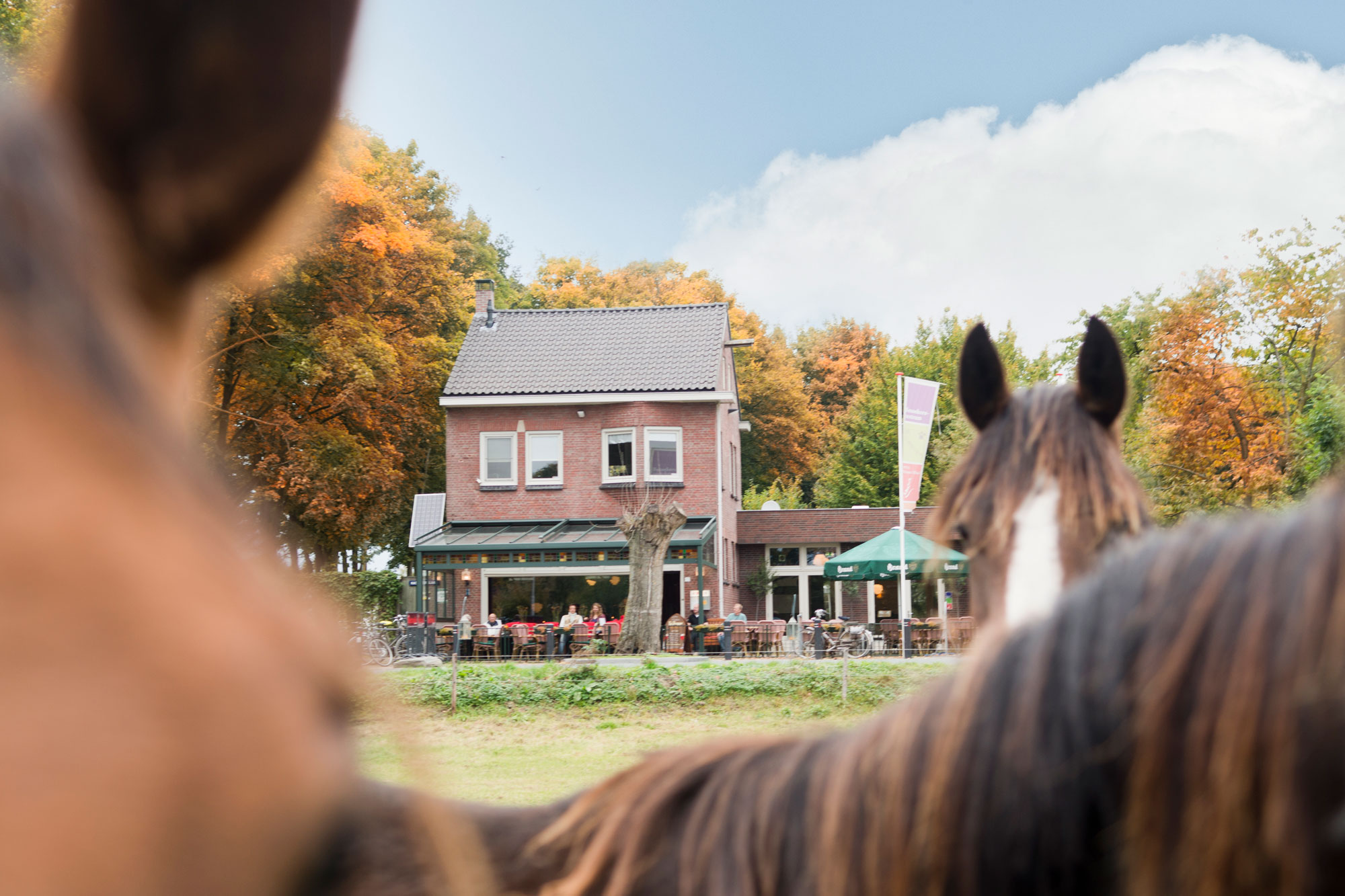 Café Zomerlust