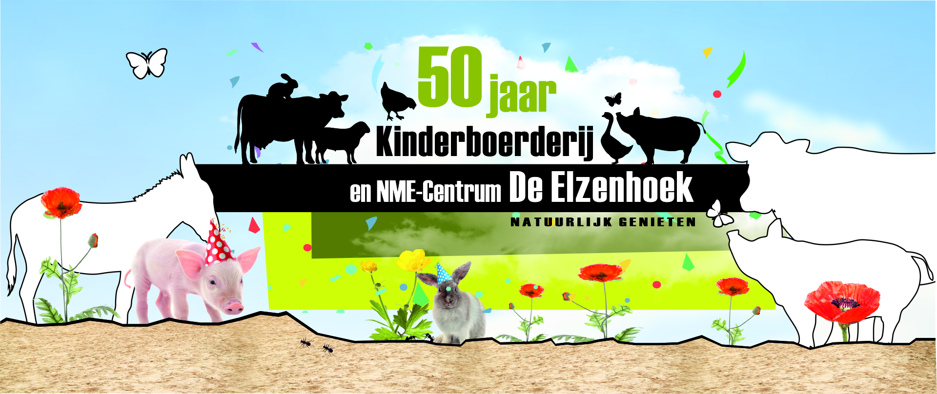 Natuurcentrum en stadsboerderij De Elzenhoek🪿