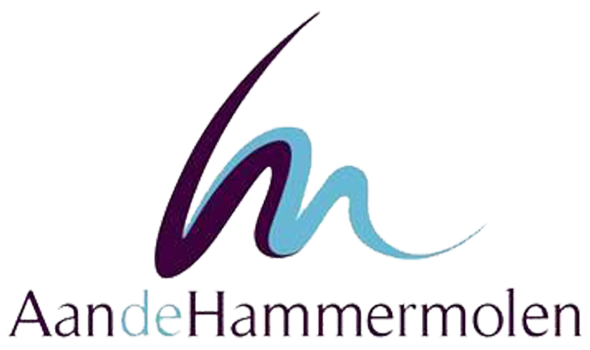 Aan De Hammermolen, luxe vergader- en overnachtingslocatie