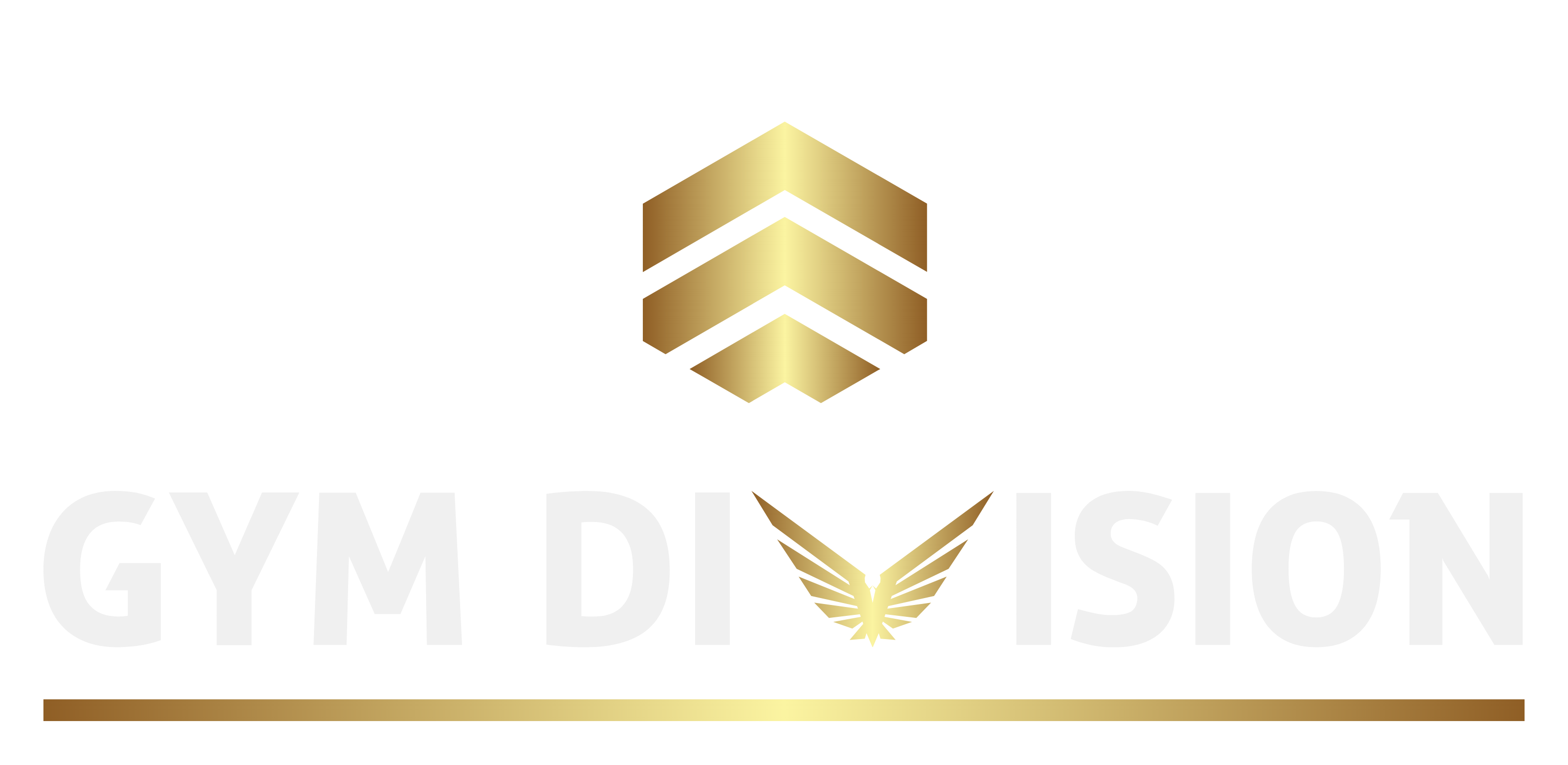 Personal Training | Gym Division Venlo