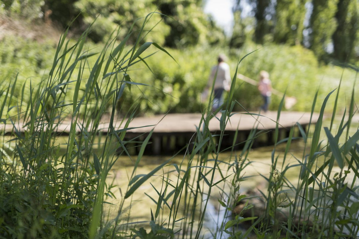 Natuurcentrum Arnhem