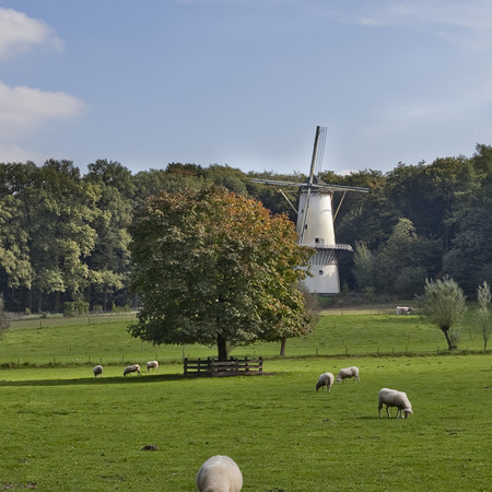 Kasteelboerderij