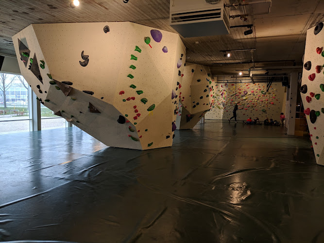 Boulder Gym Arnhem (Rijnhal)