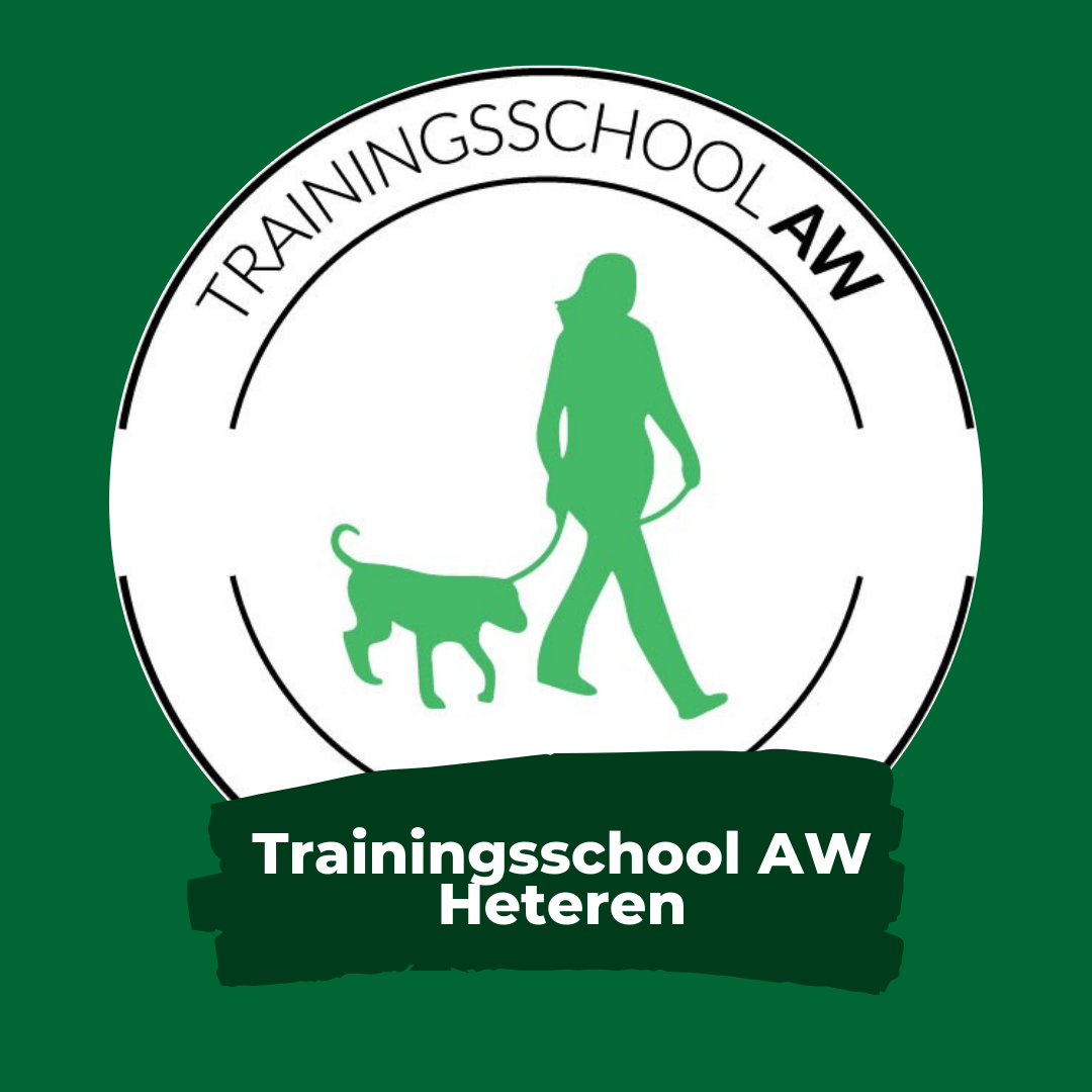 Llanfarian Border Collie Events
