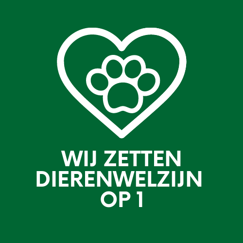 Llanfarian Border Collie Events