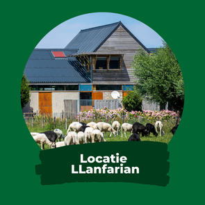 Llanfarian Border Collie Events