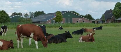 natuurboerderij de Mhene
