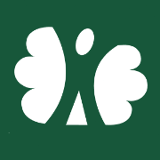 De Wilgenweard