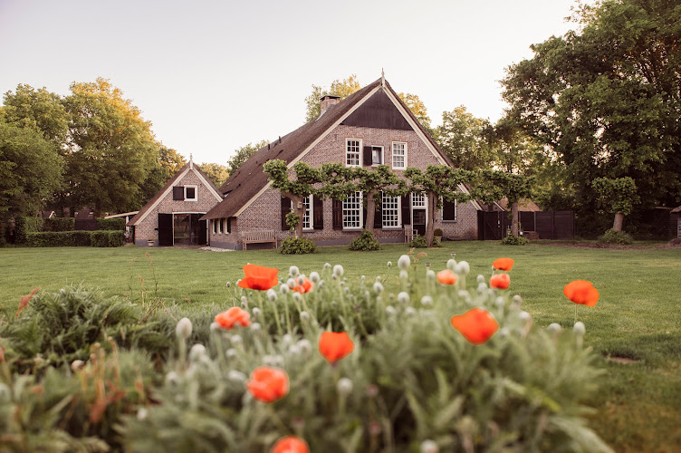 De Rheezer Kamer, B&B en Theehuis