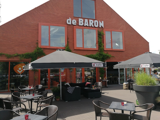 Multifunctional Center De Baron