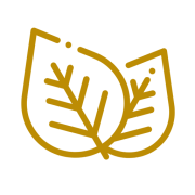 The Schildhoeve
