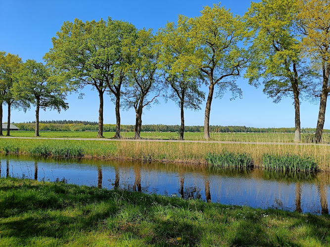 Smalhoorn