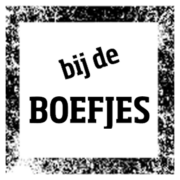 Bij de boefjes - Groepsaccommodatie