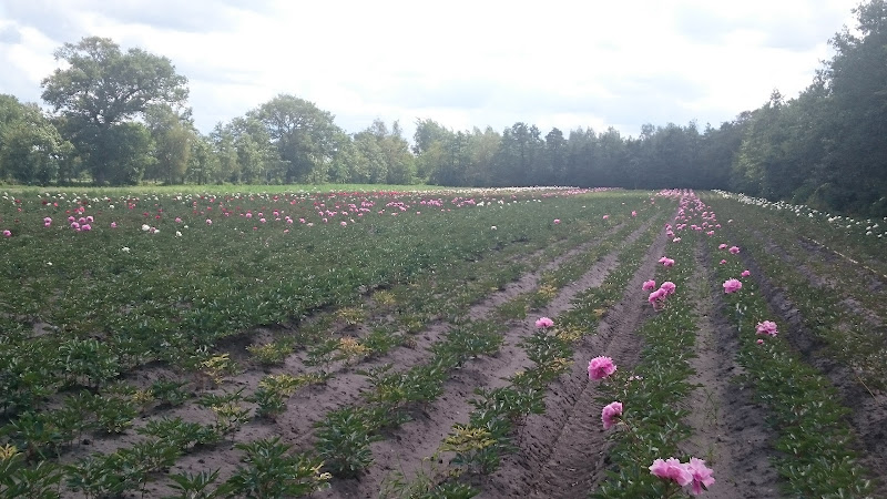 Boerderij Op de Haar
