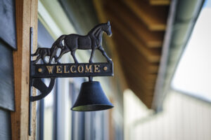 Vergaderboerderij & Theetuin Terug in het zadel