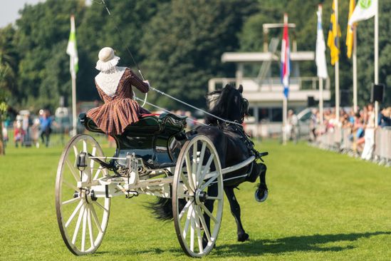 Voormalige Drafbaan Stadspark